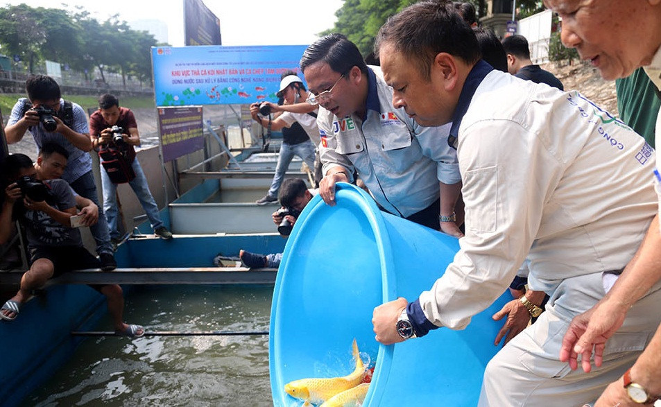 Cũng bởi giá đắt như vậy mà không ít người lo ngại vấn đề an toàn cho đàn cá Koi thả xuống sông Tô Lịch. Ảnh: Vietnamnet.