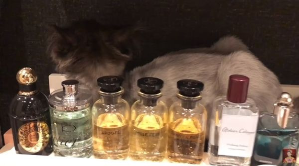 Đáng chú ý, Trấn Thành từng tiết lộ anh có trọn bộ 2 hãng nước hoa đắt nhất thế giới đến từ thương hiệu Clive Christian và Roja. Ảnh: Saostar.