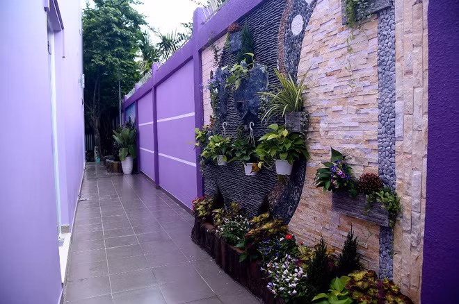 Con hẻm nhỏ được danh hài Hồng Tơ bố trí hòn non bộ và cách lấy ánh sáng từ bên ngoài, tạo sức sống sôi động cho ngôi nhà. Ảnh: Thegioitre.