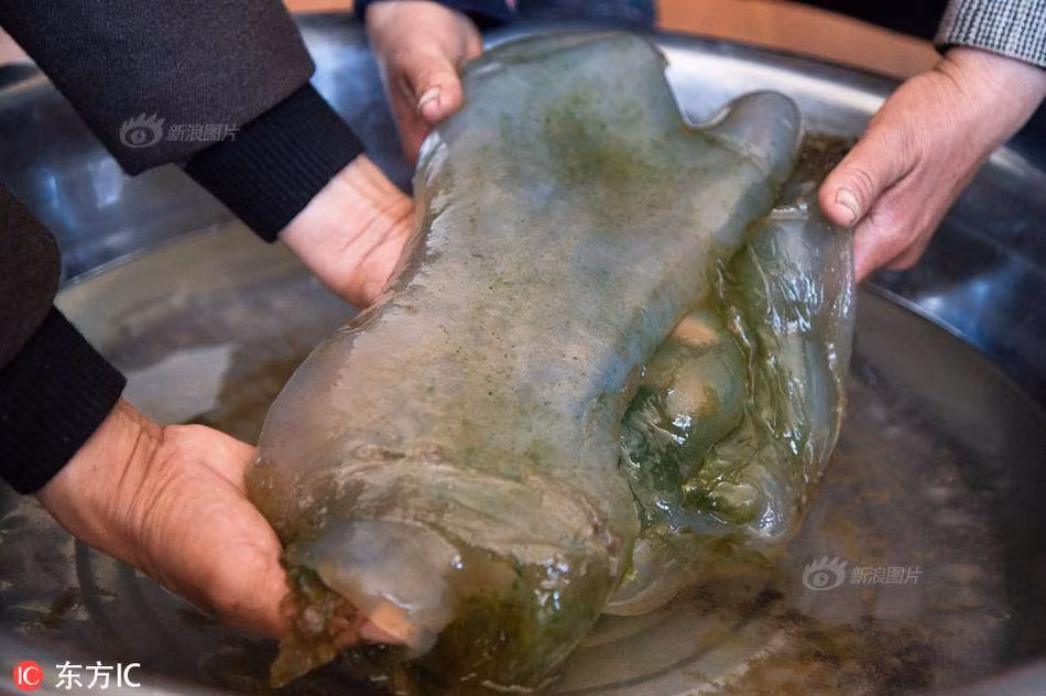 Doi doi sau mot dem: Kho bau hang chuc ty an minh o noi chang ngo