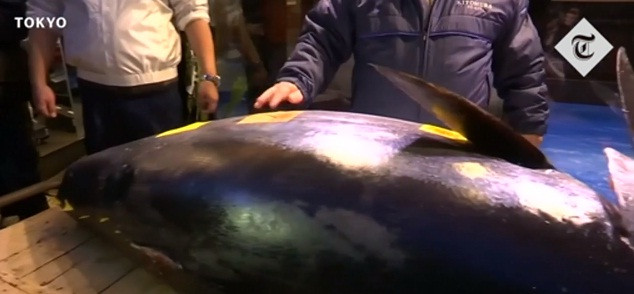 Nhật Bản là quốc gia tiêu thụ cá ngừ vây xanh lớn nhất thế giới.