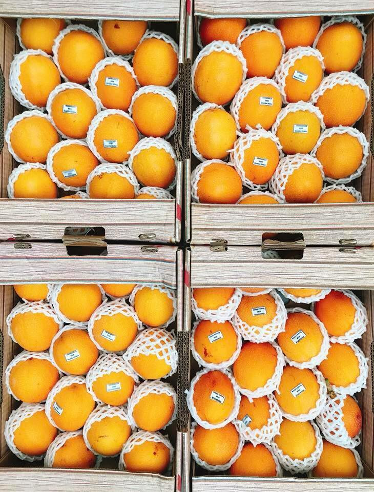 Khách thường đặt 1-2kg, nhưng cũng có khách đặt vài kg để làm quà biếu. Ảnh: FB Pham Thu Thuy.