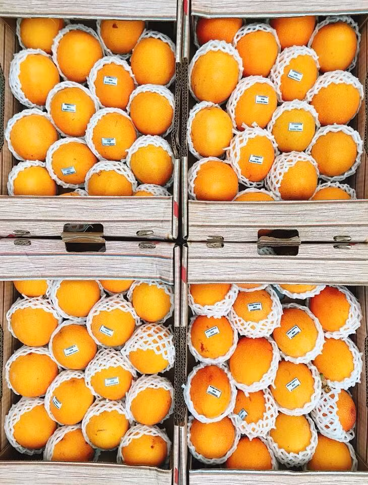 Khách thường đặt 1-2kg, nhưng cũng có khách đặt vài kg để làm quà biếu. Ảnh: FB Pham Thu Thuy.