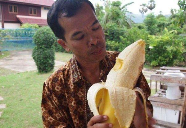 Vì vậy, có thể nói rằng chuối Musa Ingens là một kho báu đối với người Papua New Guinea.