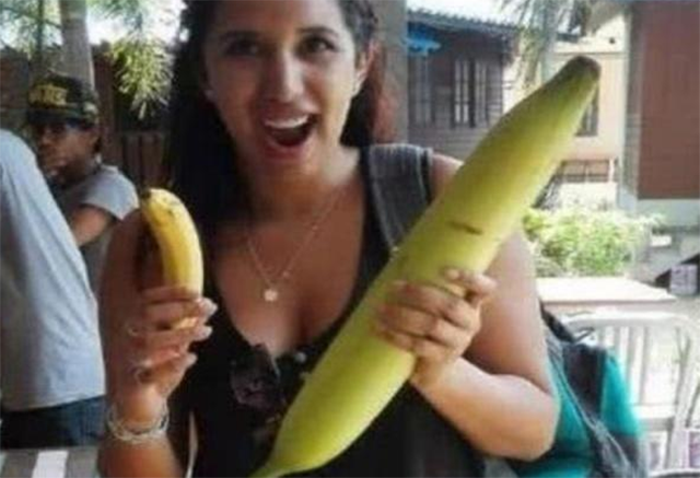 Là cây chuối lớn nhất thế giới nên quả của chúng cũng không thể nhỏ được. Quả của chuối Musa Ingens rất to, to bằng cánh tay của người trưởng thành, dài tới 30cm, nặng trung bình từ 1.5-3kg. Về màu sắc và mùi vị không khác nhiều so với chuối thông thường, nó chỉ có khác mỗi kích thước và trọng lượng. Một quả chuối Musa Ingens có thể cần khoảng 4 người mới ăn hết.