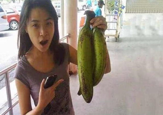 Chiều cao trung bình của chuối Musa Ingens là từ 20-25 mét, tương đương với một tòa nhà 6 tầng, cao gấp 5 lần so với giống chuối thông thường. Toàn bộ thân cây được bọc trong lớp vỏ chồng chéo rất chặt chẽ, có kích thước rất lớn, thậm chí người trưởng thành cũng không thể ôm hết được.