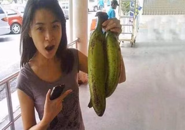 Chiều cao trung bình của chuối Musa Ingens là từ 20-25 mét, tương đương với một tòa nhà 6 tầng, cao gấp 5 lần so với giống chuối thông thường. Toàn bộ thân cây được bọc trong lớp vỏ chồng chéo rất chặt chẽ, có kích thước rất lớn, thậm chí người trưởng thành cũng không thể ôm hết được.