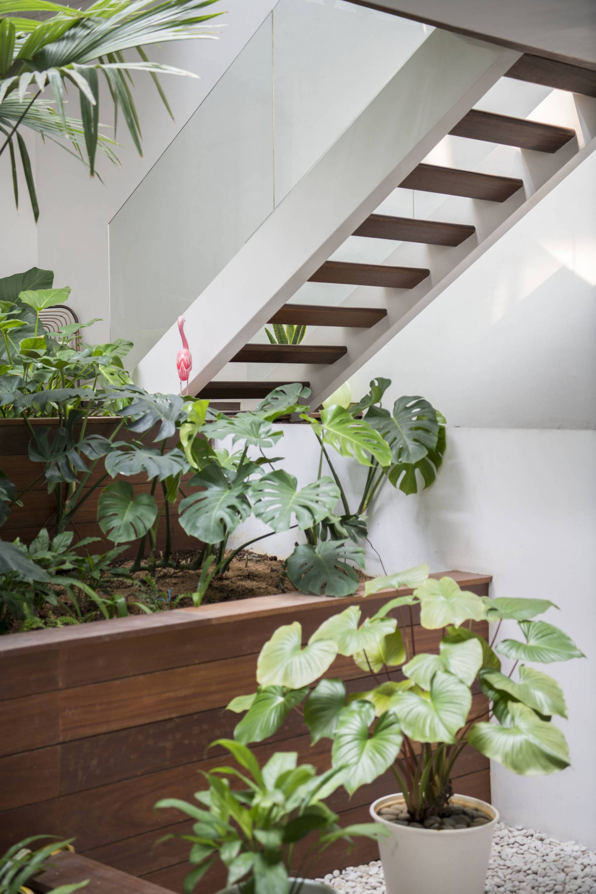 Phía dưới cầu thang được tận dụng trồng nhiều loại cây.