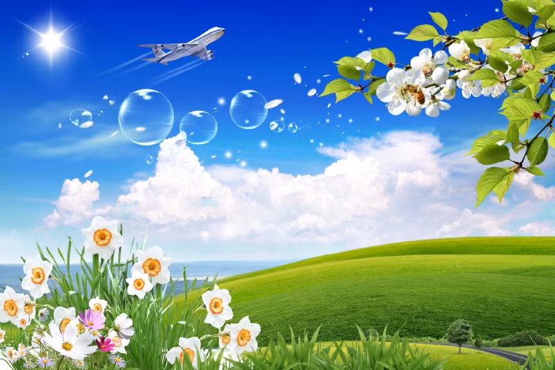 Mê mẩn giấy dán tường đem cả thiên nhiên vào nhà Me man giay dan tuong dem ca thien nhien vao nha