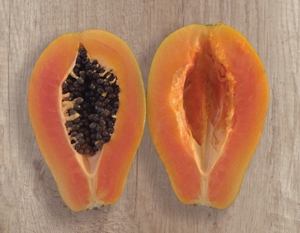 Dù giá cao nhưng đu đủ mini Nhật về đến đâu thường hết luôn đến đó. Ảnh: Logee's.