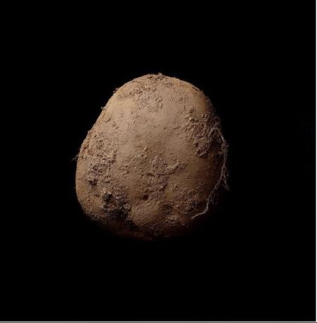 Năm 2010, nhiếp ảnh gia Kevin Abosh chụp một củ khoai tây với phông nền màu đen rồi bán nó cho một nhà sưu tập quen biết và kiếm được 1,24 triệu USD.