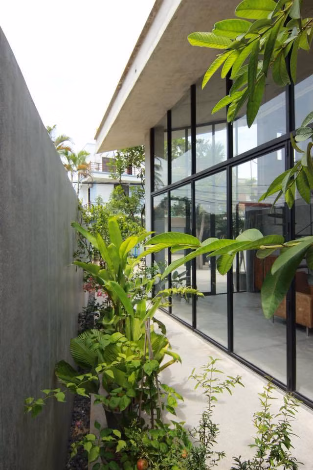 Khoảng sân nhỏ bớt nắng nóng nhờ sự góp mặt của cây xanh. Nguồn ảnh: LVHQ Architects.