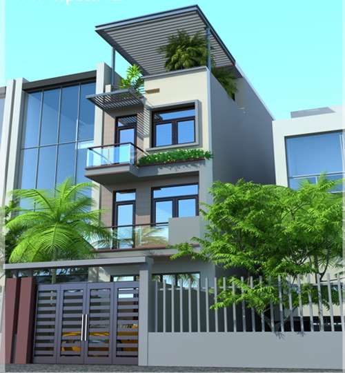 Nhà ống tận dụng tối đa diện tích để trồng cây xanh. Tầng trệt gồm 1 phòng khách, 1 phòng ngủ, 1 bếp. Tầng 2 gồm 2 phòng ngủ, 1 phòng thờ. Ảnh: Kientrucxanh.