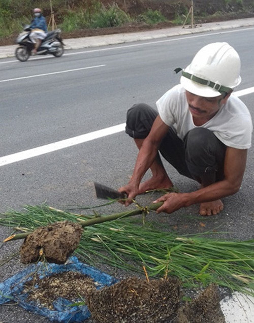 Mỗi ngày, một người đánh được 2 - 3kg, nhiều thì 5-6 kg, thu cả triệu đồng. Ảnh: Dân Việt.