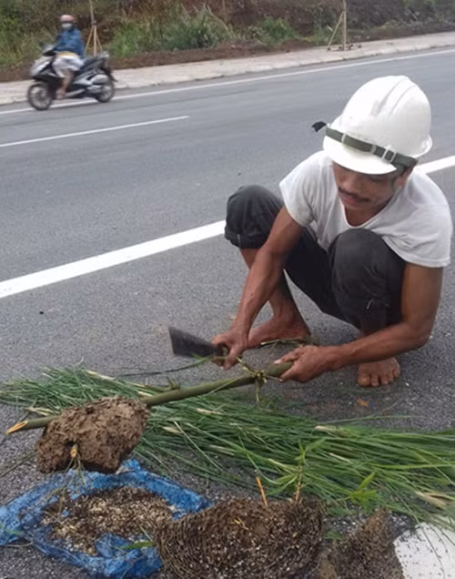 Mỗi ngày, một người đánh được 2 - 3kg, nhiều thì 5-6 kg, thu cả triệu đồng. Ảnh: Dân Việt.