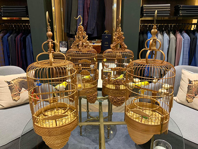 Bộ sưu tập của anh bao gồm 20 con hoàng khuyên mắt đỏ và mắt đen, 15 con chào mào bạch, 7 con chòe lửa, 4 con chòe than bạch và một số loài khác. Ảnh: Dân Việt.