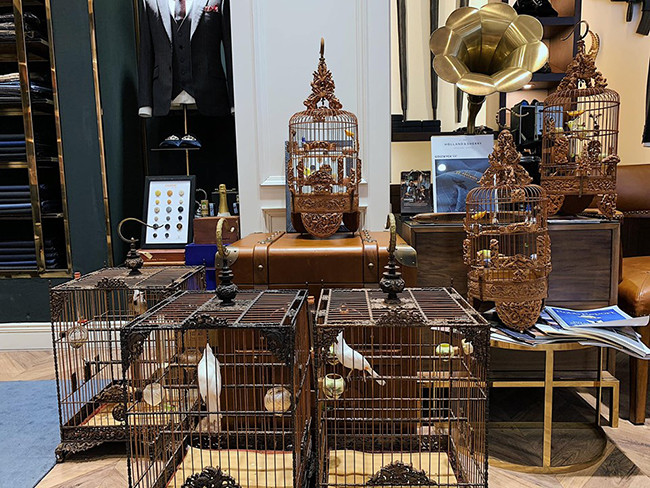 Hiện, bộ sưu tập chim màu của anh Chương đã lên đến 73 con. Ảnh: Dân Việt.