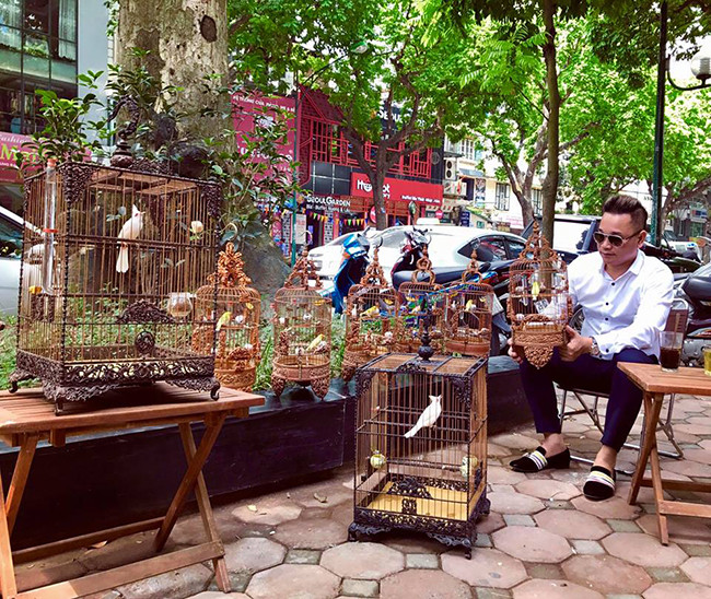 Thậm chí, bộ sưu tập của anh còn có cả những chú chim nước ngoài như Úc, Thái Lan, Singapore, Indonesia. Ảnh: Dân Việt.