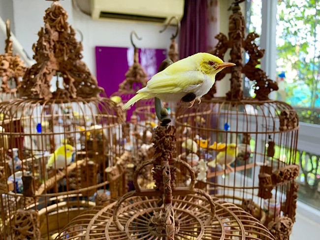 Anh phải lặn lội sang các nước để mang về những giống chim màu như chim hoàng khuyên, chào mào... Ảnh: Dân Việt.
