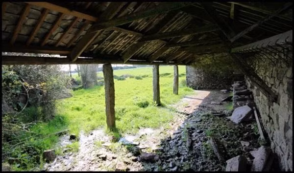 Ngoài phần mái phải thay mới hoàn toàn, các bức tường của chuồng bò cũng đã cũ kỹ theo thời gian.