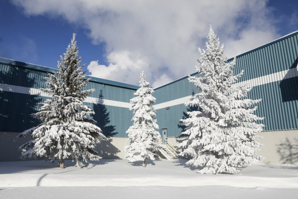 Đây là đợt lạnh kỷ lục chưa từng có ở khu vực Trung Tây và Đông Bắc Mỹ trong vòng 20 năm trở lại đây. (Ảnh: The Guardian)