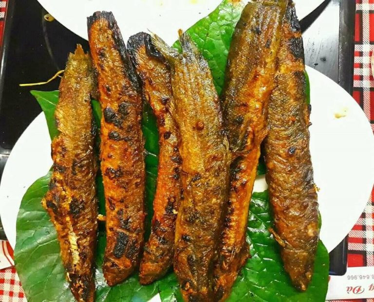 Chạch chấu sông có thể chế biến thành nhiều món như rán, nướng với bẹ chuối, hoặc nấu canh...Ảnh: Nhahangcasongda.