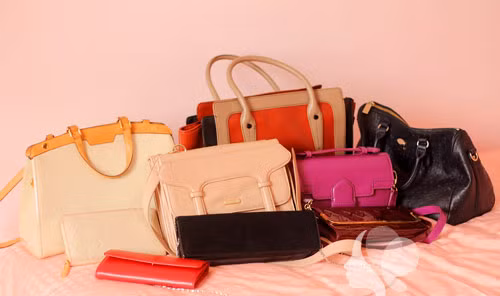 Đàm Thu Trang là một tín đồ của Louis Vuitton.