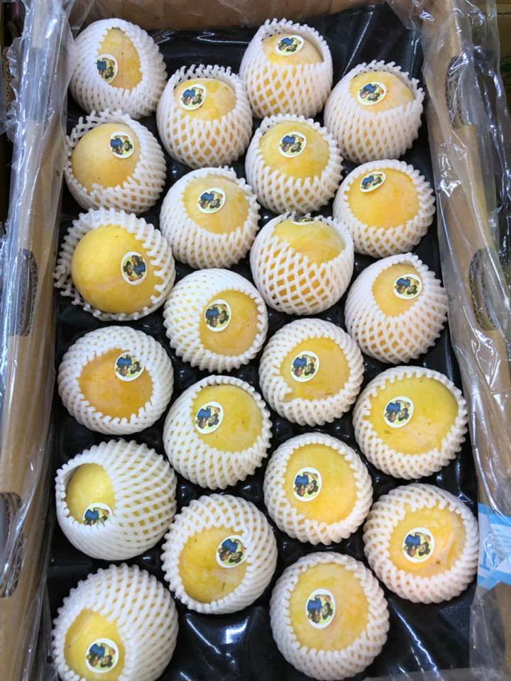 Thịt quả dễ tách khỏi hạt chứ không bị dính vào hạt như mận bắc. Ảnh: FB Phuhoafood.