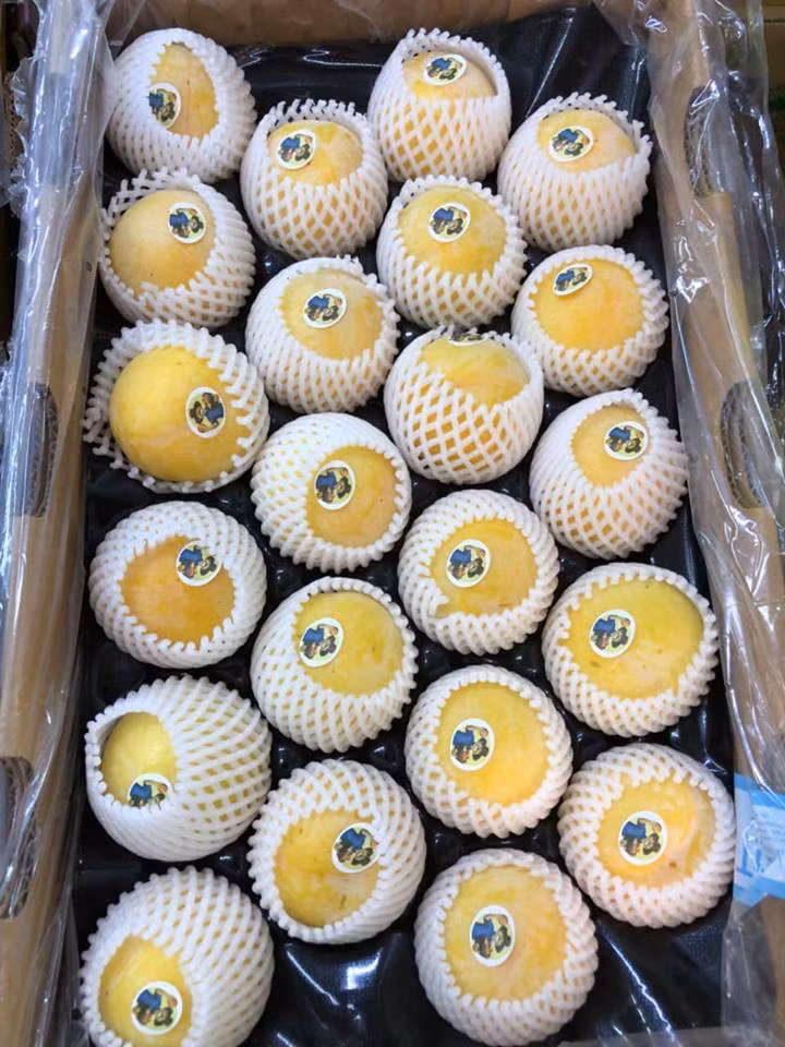 Thịt quả dễ tách khỏi hạt chứ không bị dính vào hạt như mận bắc. Ảnh: FB Phuhoafood.