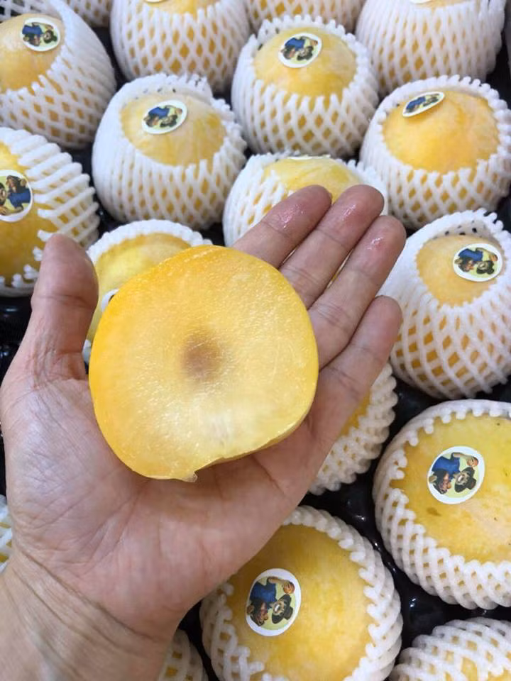 Tính trung bình, mồi quả mận vàng Úc có giá tới 50.000 đồng. Ảnh: Hoaquauudam.