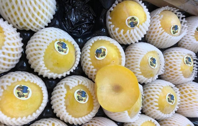 Cả vỏ và ruột mận đều có màu vàng óng và mọng nước. Ảnh: Traicaydungmap.