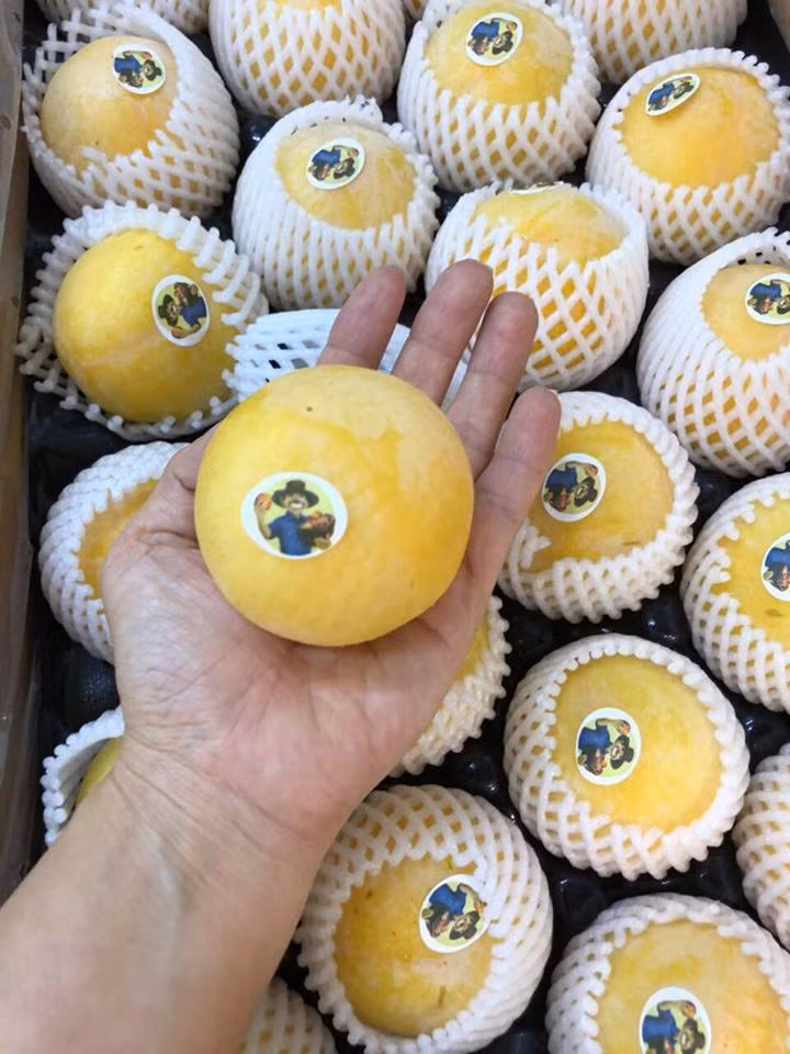 Thời gian gần đây, loại mận vàng Úc nhập khẩu được nhiều bà nội trợ quan tâm dù giá bán không hề rẻ. Ảnh: Hoaquauudam.