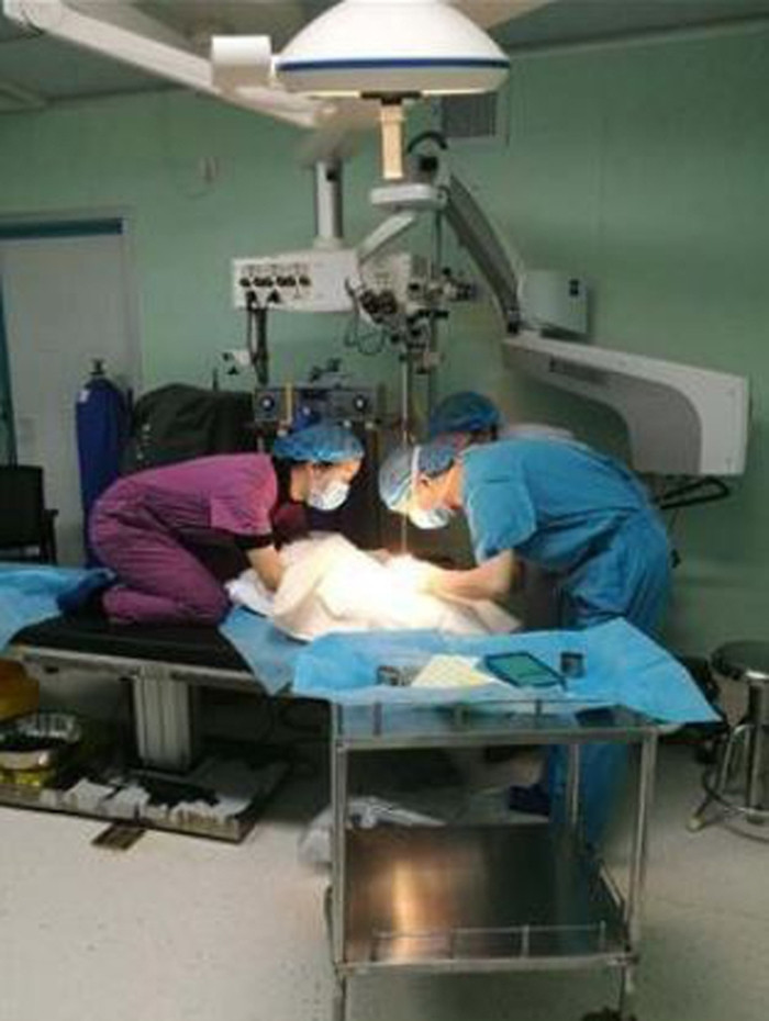 Vào tháng 1 năm nay, một bức ảnh "bác sĩ quỳ gối để cứu bệnh nhân trong quá trình phẫu thuật" đã nhận được sự khen ngợi của cộng đồng mạng. Chủ nhân trong bức ảnh này là của một bác sĩ nữ tại Khoa Mắt của Bệnh viện nhân dân số 1 tỉnh Vân Nam, Trung Quốc. Khi được phỏng vấn về hành động này, nữ bác sĩ cho biết, đây là việc mọi nhân viên y tế nên làm để giúp bệnh nhân của mình.