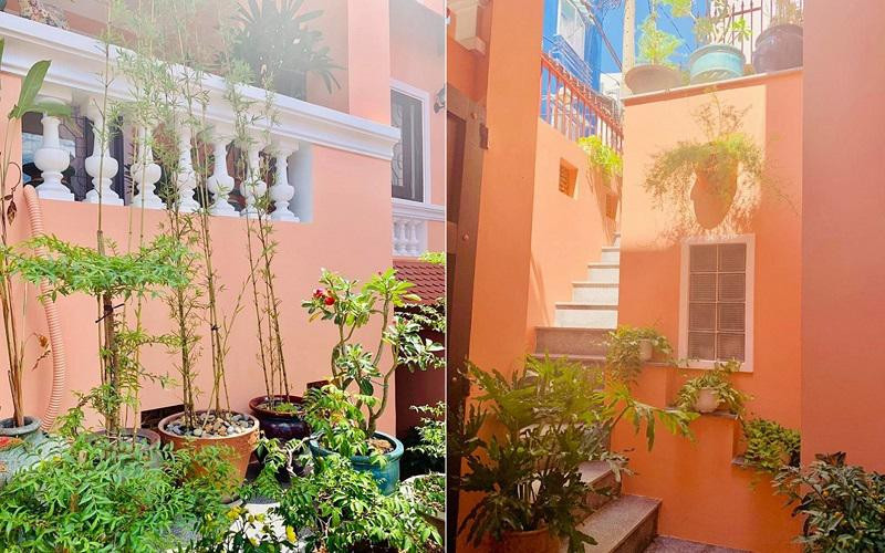 Là một người yêu thích thiên nhiên nên Thúy Nga muốn trồng nhiều cây cảnh trong khuôn viên nhà.