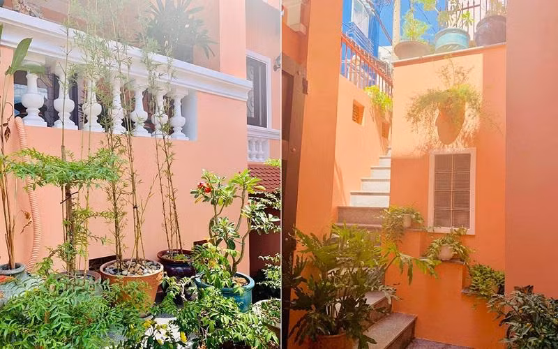 Là một người yêu thích thiên nhiên nên Thúy Nga muốn trồng nhiều cây cảnh trong khuôn viên nhà.