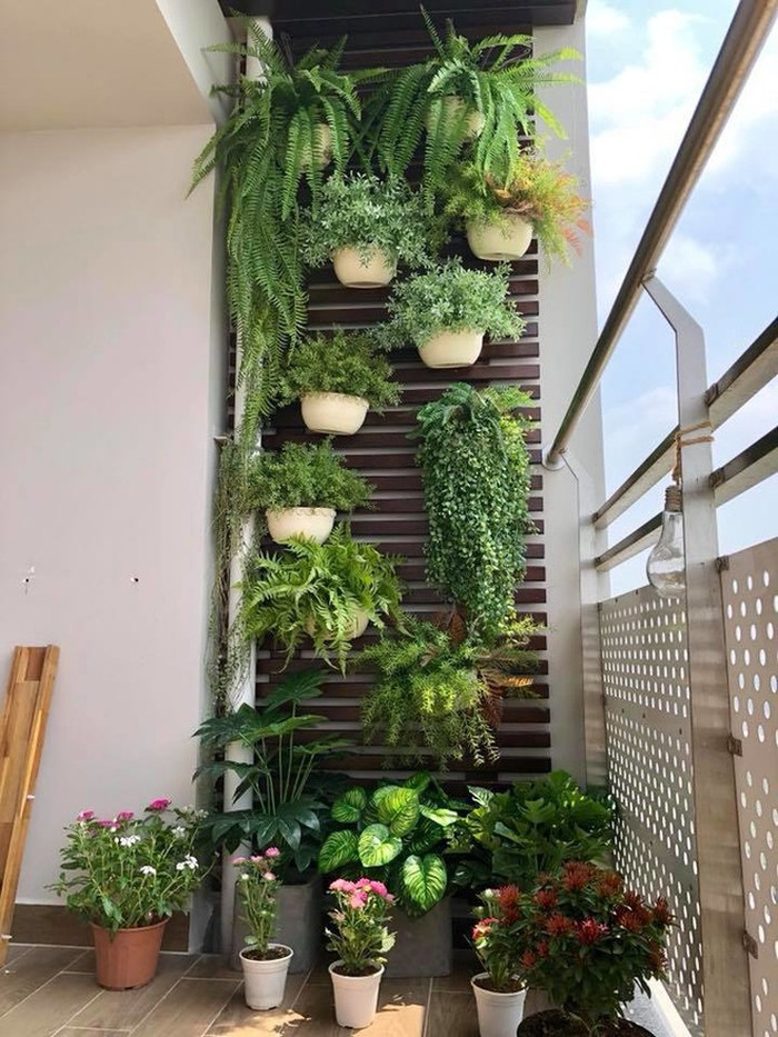 Tại đây, Đàm Thu Trang cũng trồng nhiều hoa và cây xanh. Ảnh: Nld.