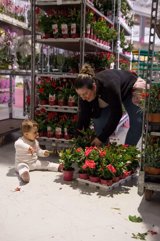 Chợ hoa mở cửa từ 3h sáng và đến khoảng 6h là người mua buôn đã dần dần ra về.