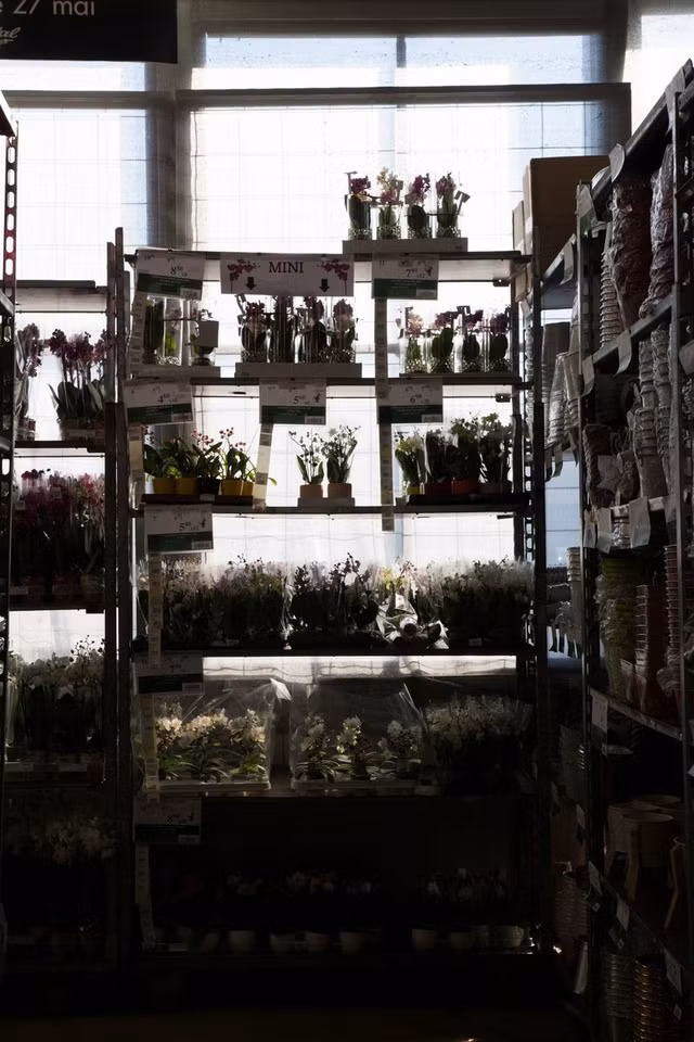 Nhiều người ghé qua đây chỉ để thỏa niềm đam mê ngắm các loại hoa.