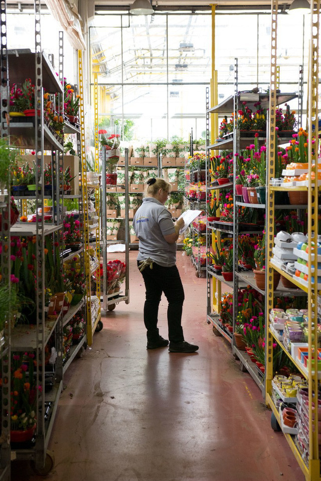 Tại đây, người mua dễ dàng tìm thấy mọi thứ, từ cây cảnh khổng lồ đến cây hoa xương rồng nhỏ bé đầy màu sắc