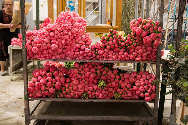 Với đủ các loại sắc màu, chợ hoa Rungis là nguồn cảm hứng sáng tạo của nhiều nhiếp ảnh gia. Nguồn ảnh: Cntraveler.