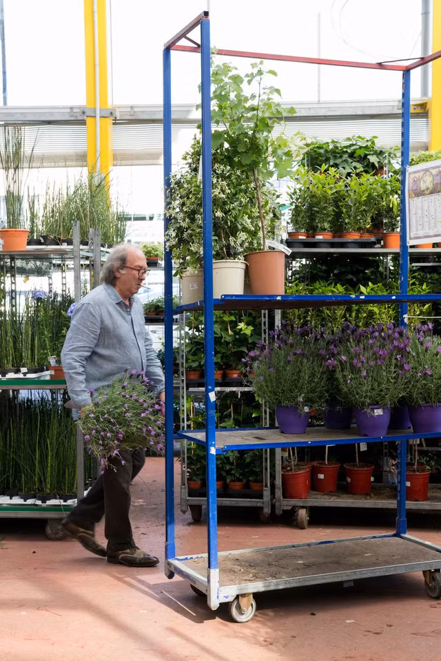 Các chậu hoa được vận chuyển bằng xe đẩy.