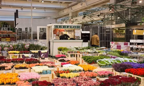 Cách trung tâm thủ đô Paris khoảng 7km, chợ hoa Rungis là nơi tập trung đủ các loại rau, cây trồng và hoa đầy sắc màu.