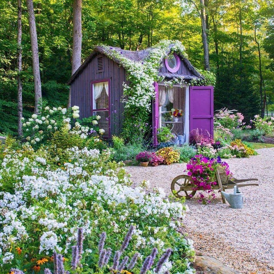 Hàng trăm loại hoa khoe sắc đủ sức làm thỏa mãn bất kỳ ai.