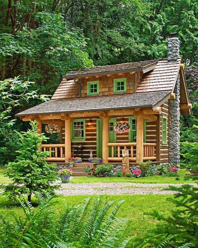 Vô vàn cây và hoa rực rỡ sắc màu, được sắp xếp xen kẽ hợp lý tạo hiệu ứng màu đẹp mắt.