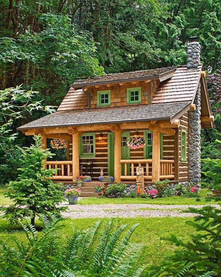 Vô vàn cây và hoa rực rỡ sắc màu, được sắp xếp xen kẽ hợp lý tạo hiệu ứng màu đẹp mắt.