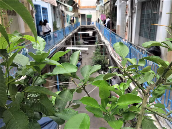 Tuy nhiên, màu sơn xanh ở các song sắt ngoài lan can vẫn còn giữa nguyên. Ảnh: T.A.