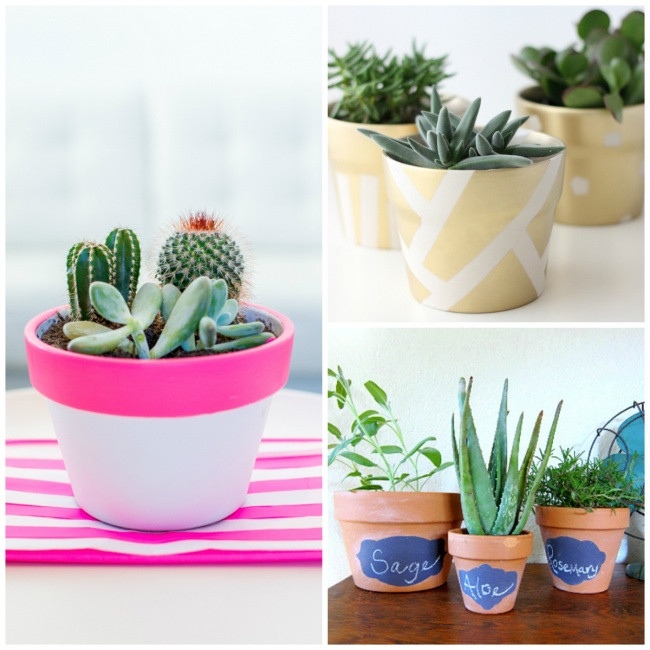 Chỉ cần một chút sơn, chậu cây nhỏ xinh trên cửa sổ sẽ vô cùng nổi bật.