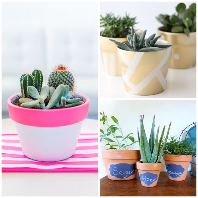 Chỉ cần một chút sơn, chậu cây nhỏ xinh trên cửa sổ sẽ vô cùng nổi bật.