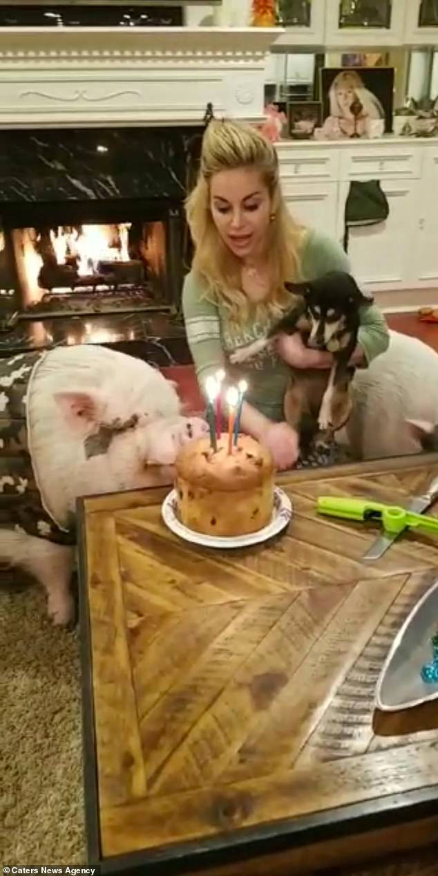 Marcela đã tặng Chuy một chiếc bánh sinh nhật khổng lồ của một hãng danh tiếng nước Ý, cùng với vô số những món quà xa hoa khác như kính Gucci trị giá 690 USD (khoảng 16 triệu đồng) và một chiếc áo khoác cũng đắt tiền cho ngày đặc biệt này. Ảnh: DM.