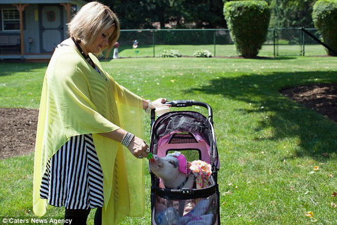 Mindi Reinbolt còn thậm chí chuyển nhà để Penelopi có không gian sống thoải mái hơn. Ảnh: Caters News.